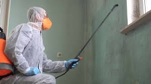 Why You Should Choose Our Mold Remediation Services in Luxemburg, WI